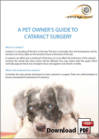 pet owners guide to cataract surgery